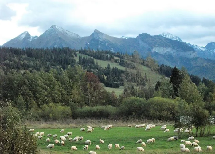 Apartament ,,goramiba